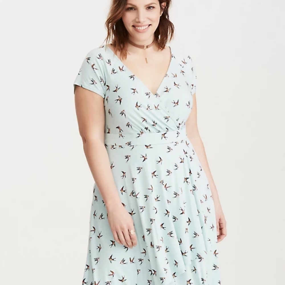 Torrid Sparrow Bird Print Surplice Dress 2x